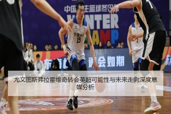 尤文图斯弗拉霍维奇转会英超可能性与未来走向深度意媒分析