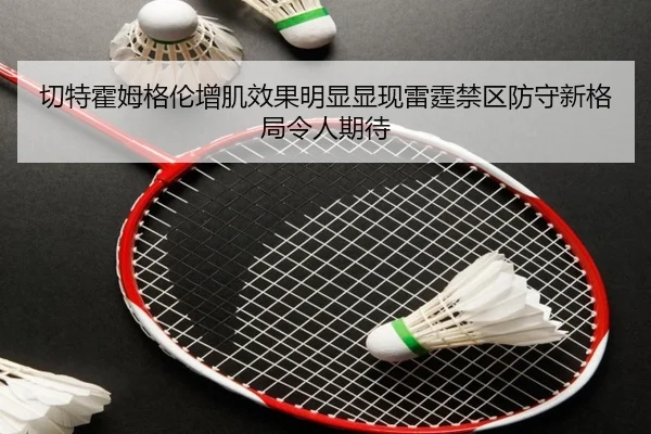 切特霍姆格伦增肌效果明显显现雷霆禁区防守新格局令人期待